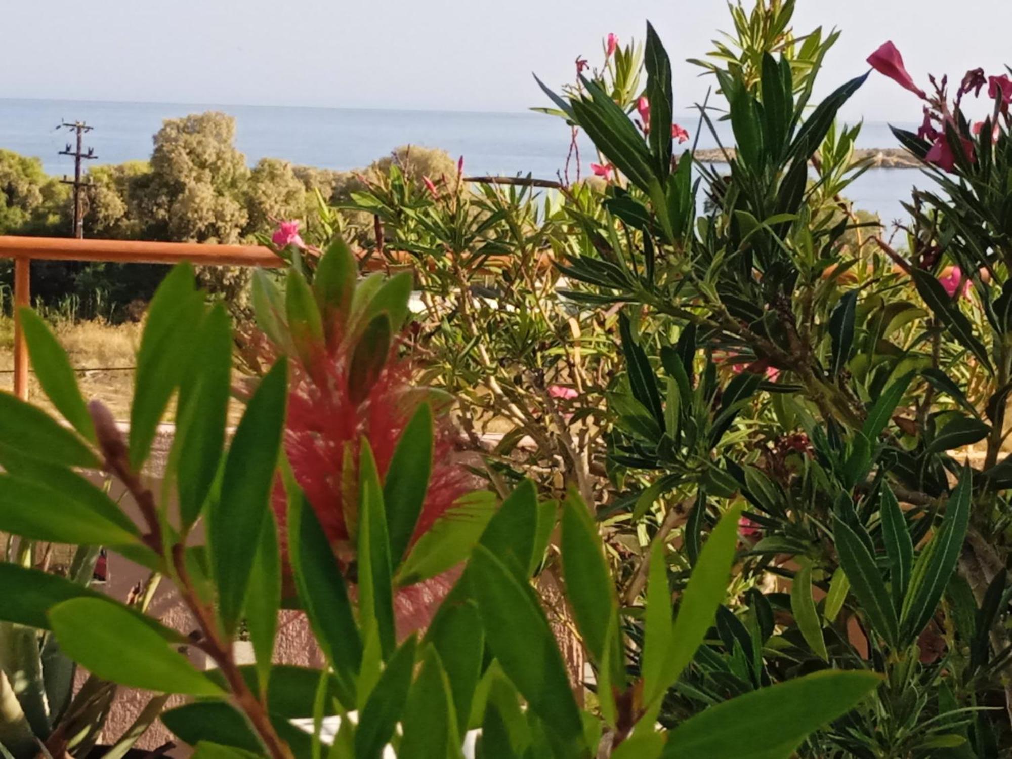 Ilona Apartments Chania คาโตดารัตโซ ห้อง รูปภาพ