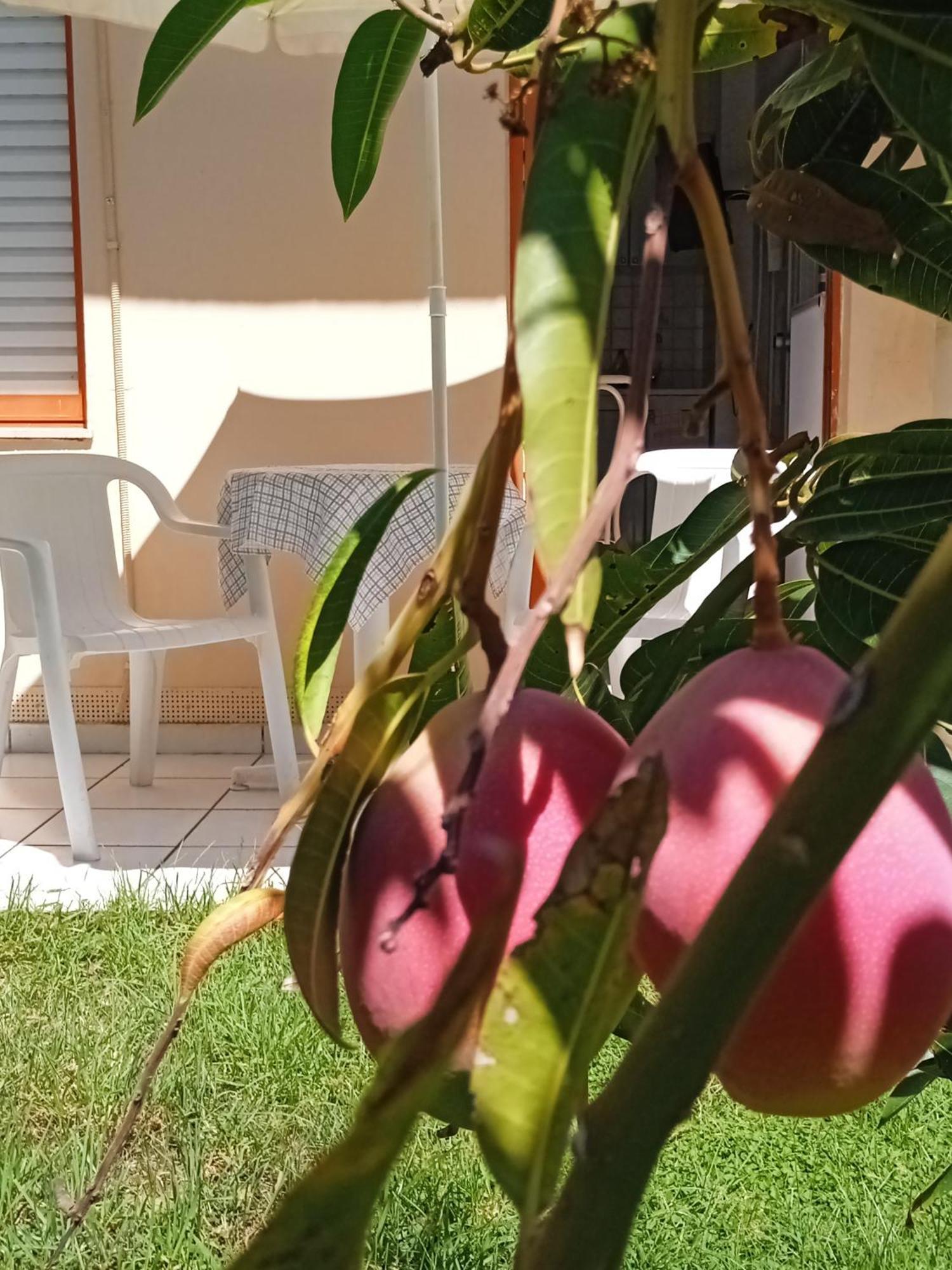 Ilona Apartments Chania คาโตดารัตโซ ห้อง รูปภาพ
