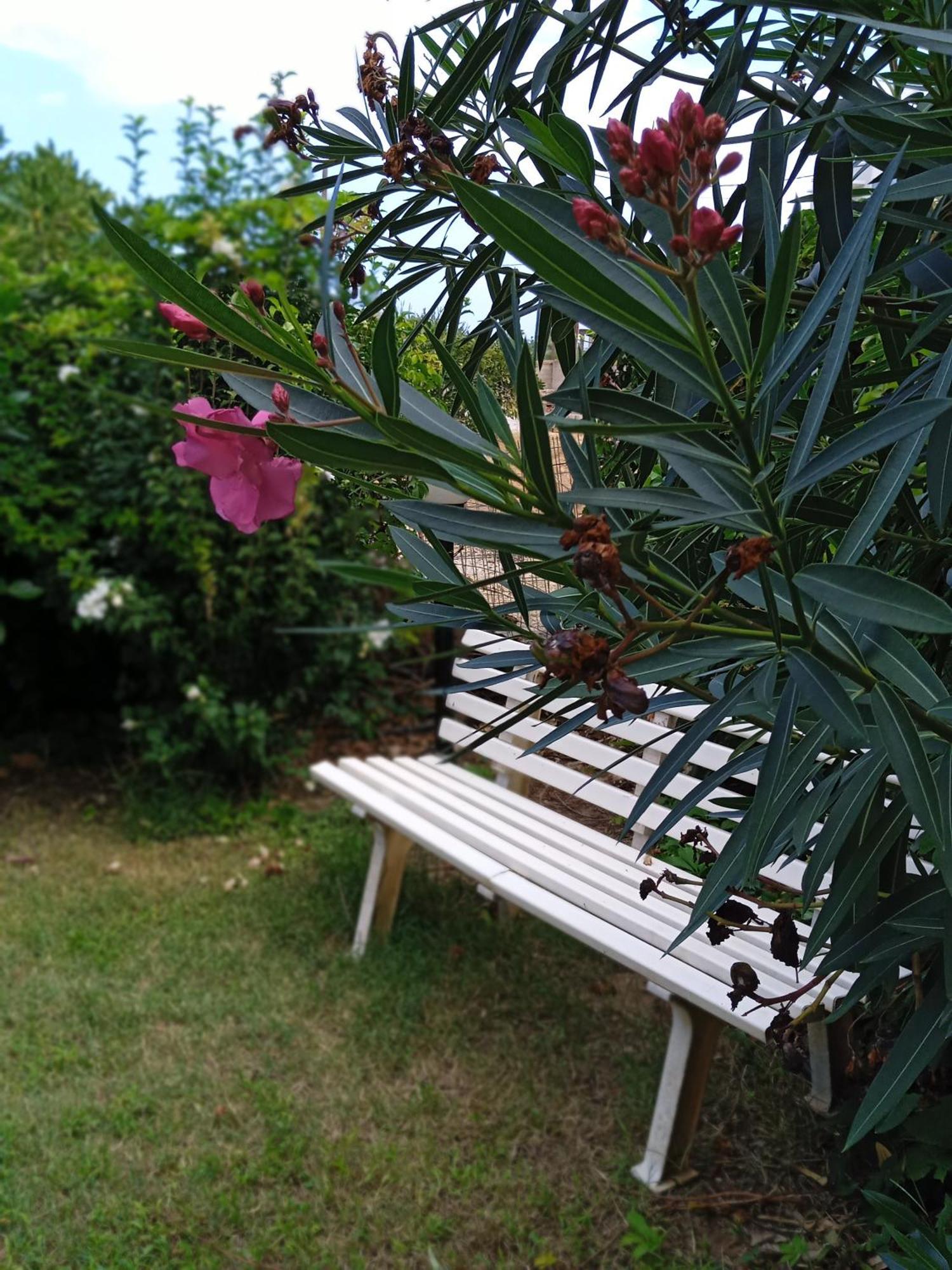 Ilona Apartments Chania คาโตดารัตโซ ห้อง รูปภาพ